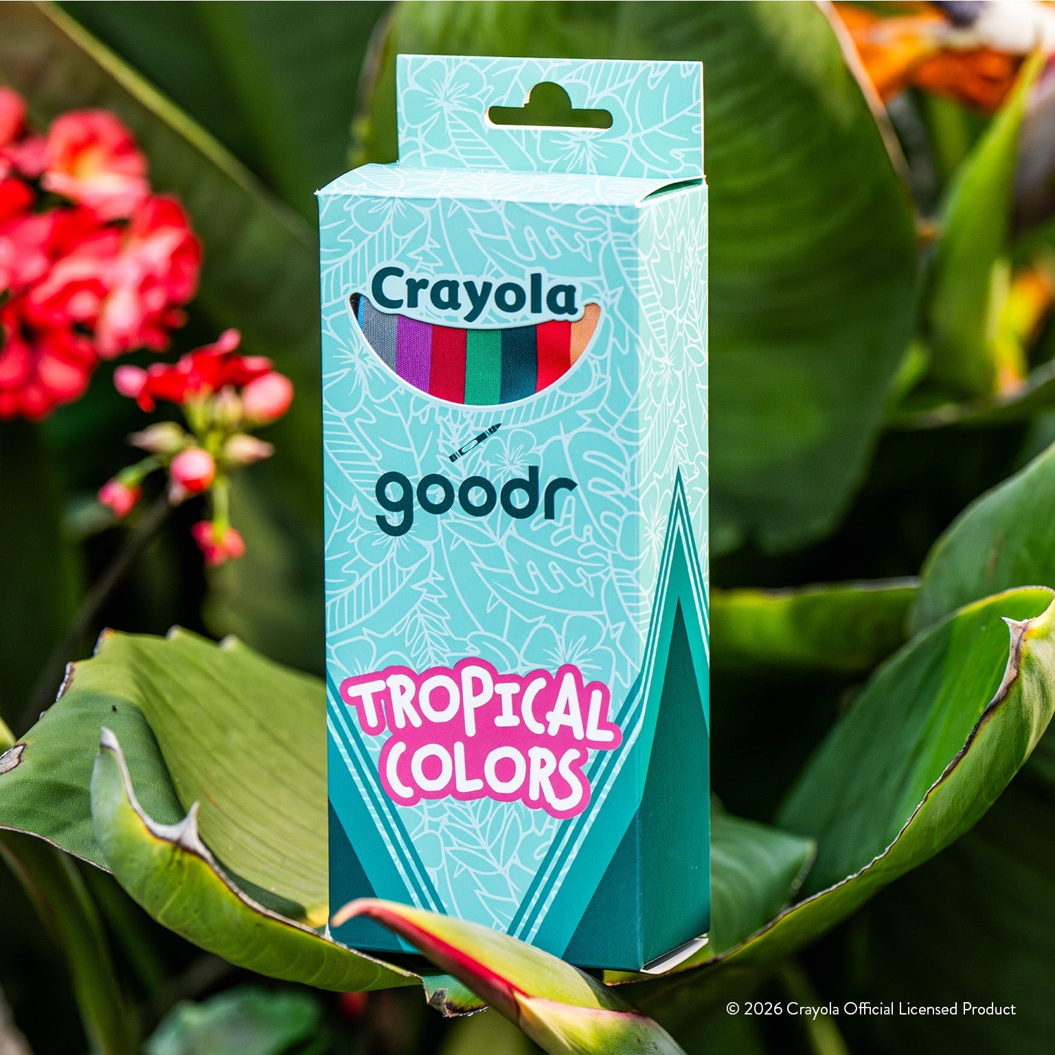 Angled view of custom packaging. Crayola box includes goodr logo, small crayon image & Tropical Colors across bottom.