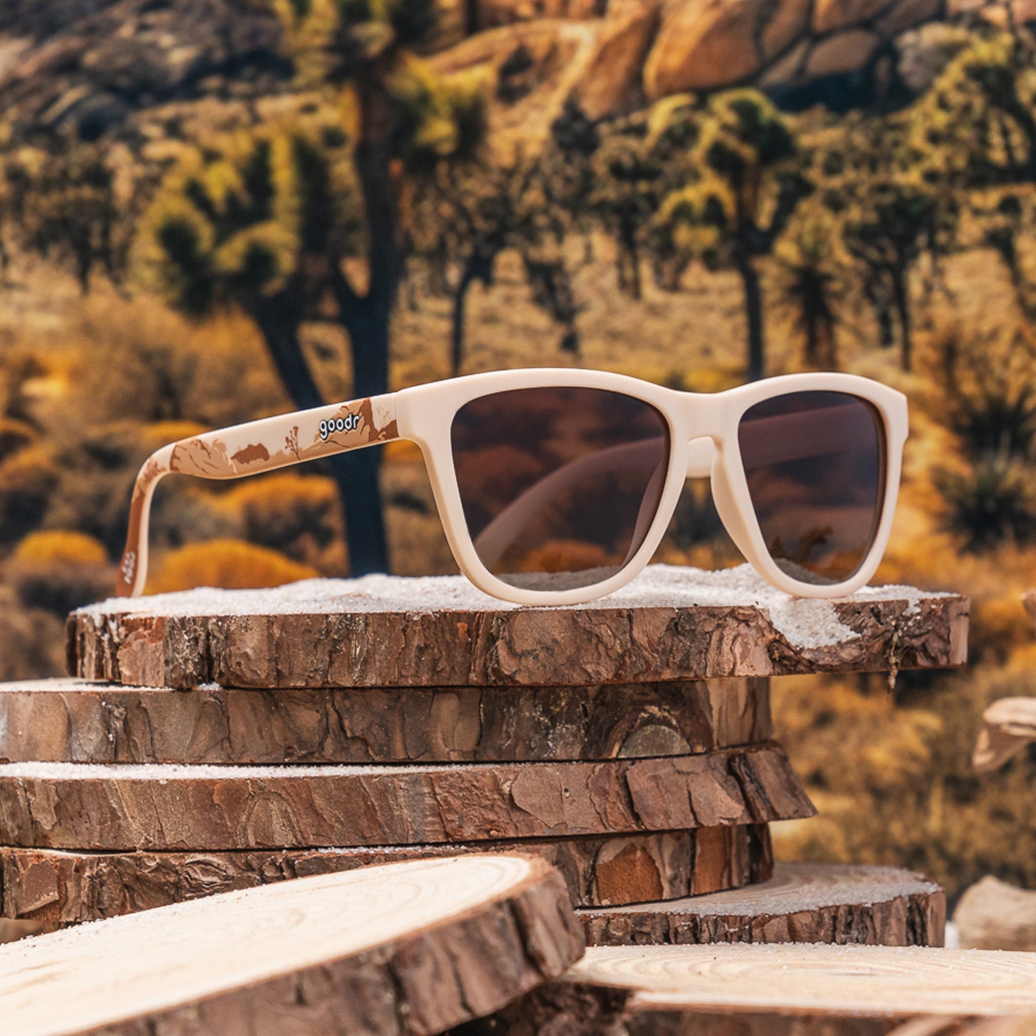 Joshua Tree National Park 2024 | The OGs